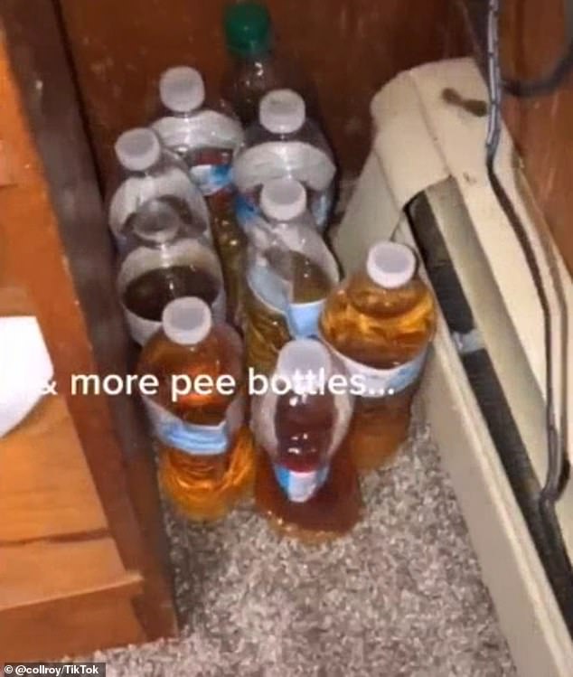 Women on social media are horrified to hear ‘almost all men’ are guilty of revolting toilet habit