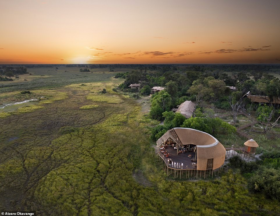 Is this the world’s best safari destination? The Mail films a wildly amazing trip to Botswana, with breathtaking helicopter transfers and a camp so luxurious even the animals want to move in!
