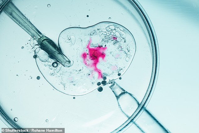 Inside the ‘Superbaby Factory’: Controversial startup is charging parents-to-be $50,000 to screen their embryos for higher IQ, investigation reveals