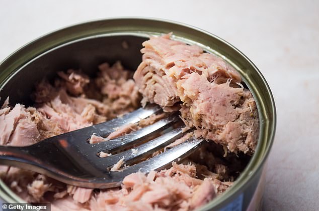 Now BAN tinned tuna, activists demand – as toxic levels of mercury are detected in store-cupboard favourite