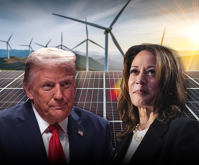 What would a Harris or Trump election win mean for green energy firms in the US?