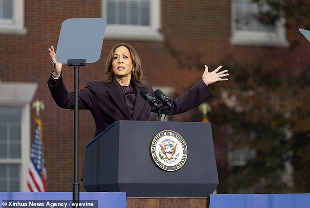 48 hours after the election, one thing is clear… the Deranged Democratic plot to sabotage Trump has already begun, warns KENNEDY