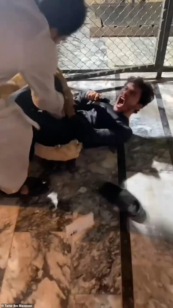 Terrifying moment pet lion savages screaming man after he tried to take a selfie with beast in Pakistan