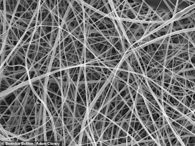 Scientists create the world’s thinnest SPAGHETTI – with each strand measuring 200 times thinner than a human hair