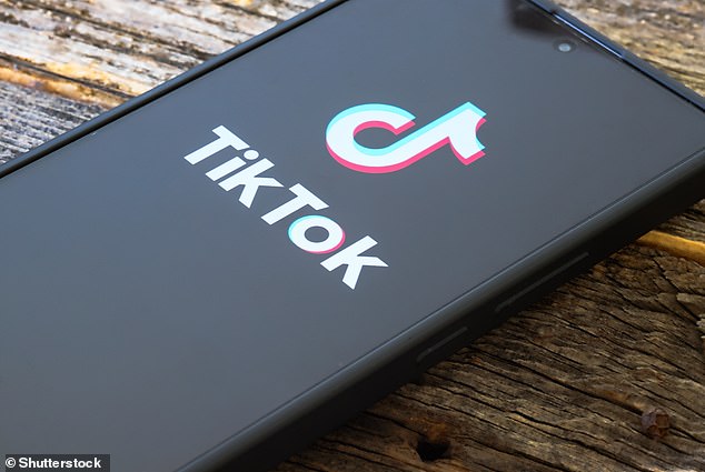 Revealed: TikTok’s top trends of 2024 – from Brat Summer to ‘very demure, very mindful’