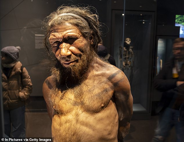 Neanderthals and humans mated more recently than we thought! Ancient species interbred with our ancestors within the past 50,000 years, study finds – rewriting the story of our evolution