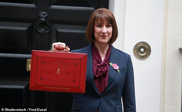 Will the UK stock market be the one to back in 2025? Shares are still going cheap, say experts – we get their picks