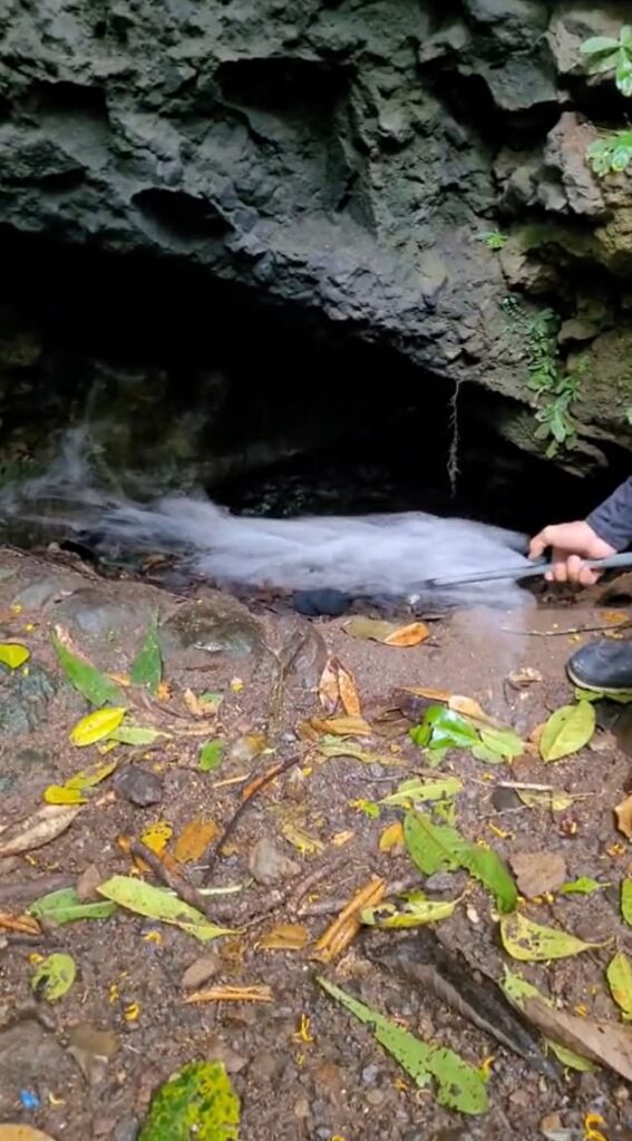 Shocking video shows how the ‘Cave of Death’ kills everything that ventures inside