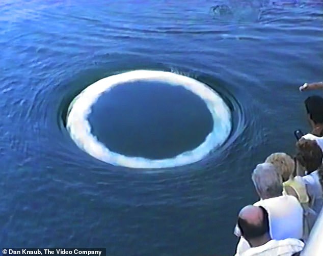 Scientists identify strange ‘communication’ of non-human intelligence in Earth’s oceans