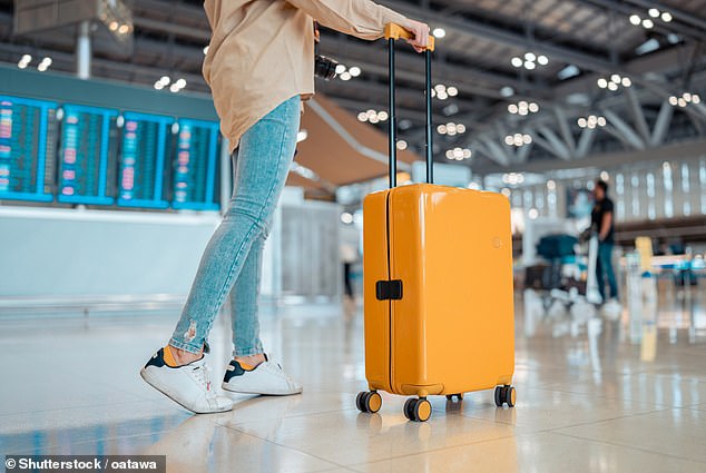 Passengers travelling to Europe could take cabin bag on board for FREE – as new rules will ban airlines from charging extra