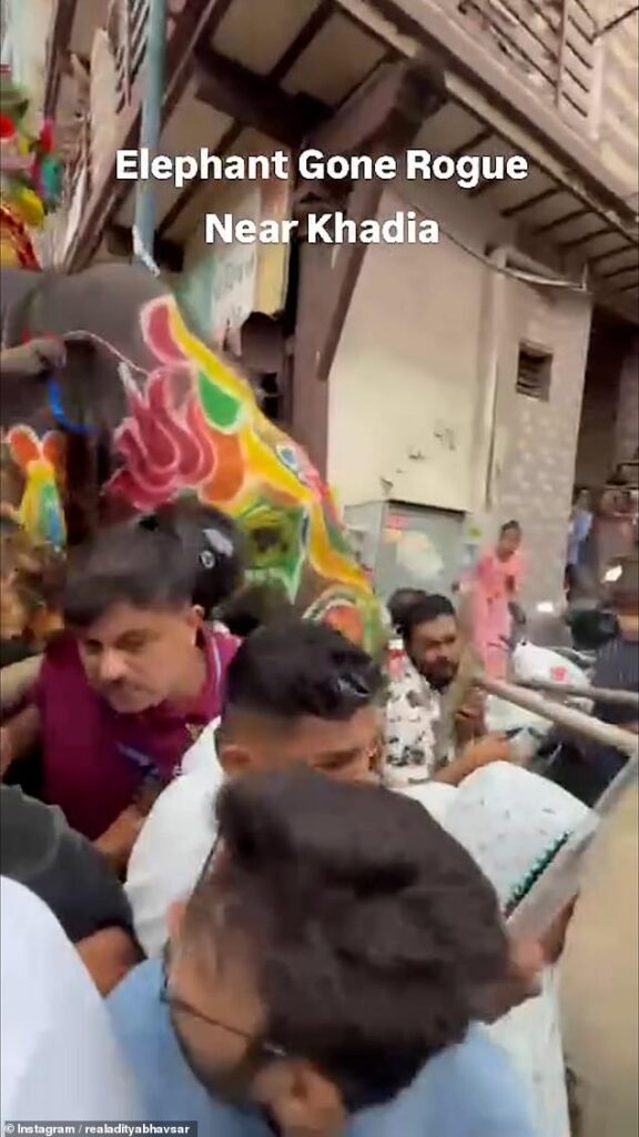 Moment out-of-control elephants turn on their handlers and trample crowd at Indian festival