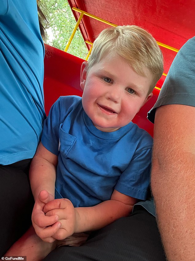 Horror as toddler missing a kidney is stung 150 times by wasps and is left fighting for his life
