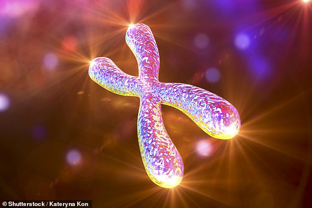 Scientists warn of ‘catastrophic’ risks as labs ‘play God’ with human DNA