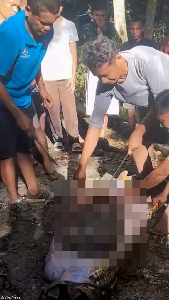 Gruesome moment man is found dead inside a 28ft python after the beast crushed then devoured him as he fed his chickens in Indonesia