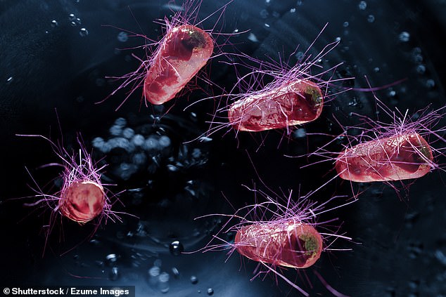 Common home mistake could be putting you at risk of deadly infection, warns top doctor