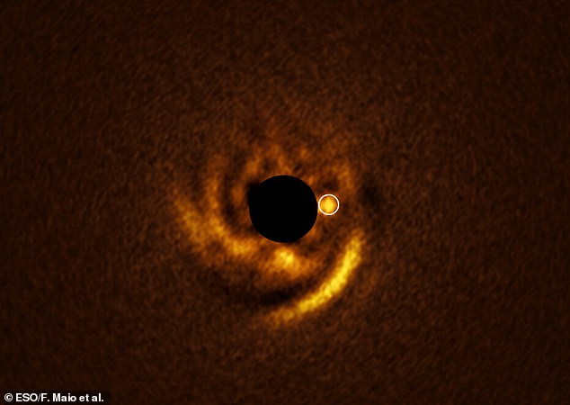 Watch the birth of a new PLANET: Incredible images show a distant world sculpting spirals of dust around it