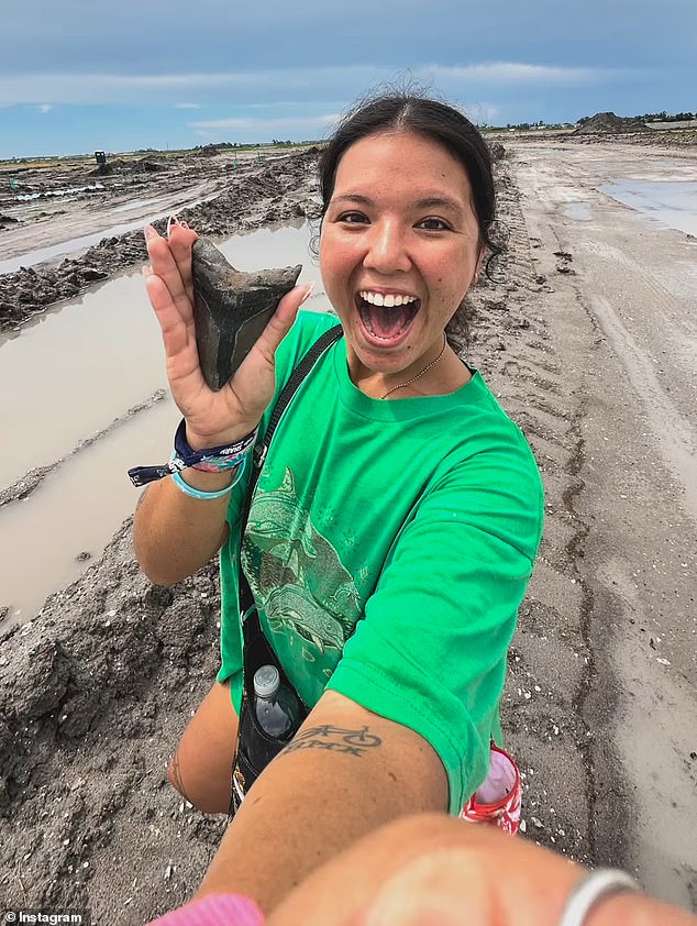 Woman unearths massive tooth from terrifying prehistoric creature on US beach