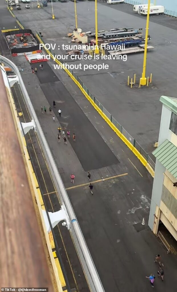 Cruise ships are abandoning ports leaving passengers stranded amid tsunami fears triggered by huge 8.8 magnitude earthquake