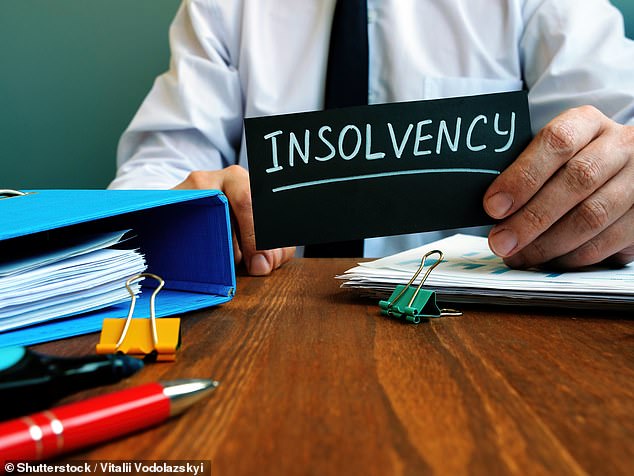 The boom in going bust! Insolvency firm Begbies Traynor sees profits double as larger firms fail