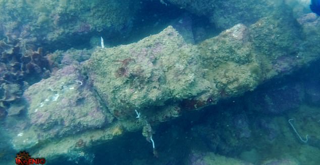 I’ve spent years investigating whether Atlantis actually existed… now, I have finally found it. This is the astonishing evidence I discovered buried under the sea