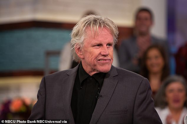 Gary Busey, 81, pleads guilty to sex crimes charge after groping woman during horror movie convention