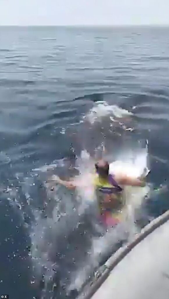 Shocking moment thrillseeker jumps onto a WHALE SHARK and dances on the animal’s back in ‘sickening’ stunt