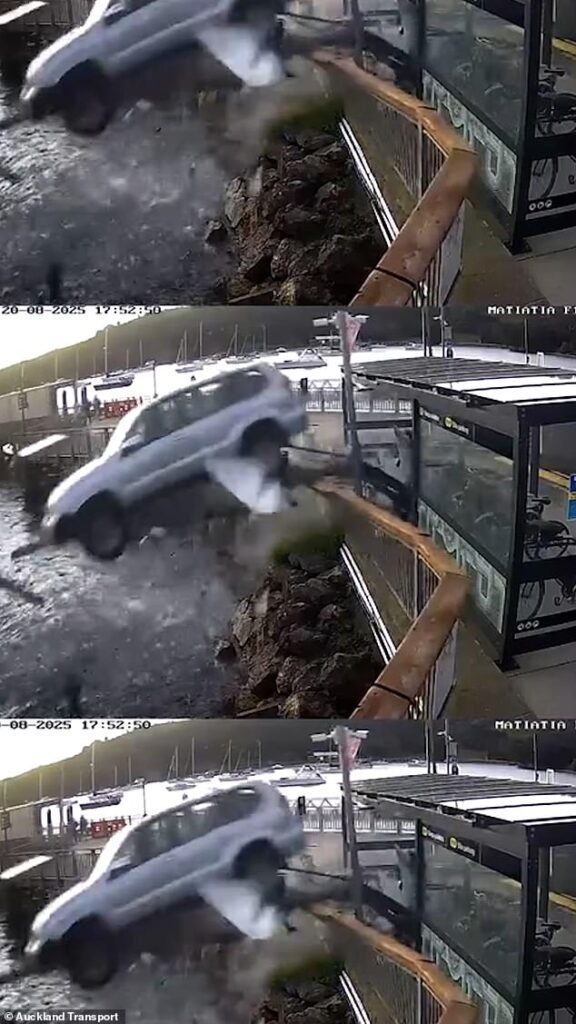 Terrifying moment drunk pensioner drives SUV off wharf and crashes into the sea before dramatic rescue from sinking car