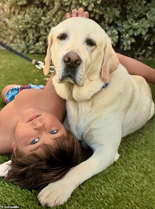 Astonishing amount raised for family of boy, 5, who died after horrific accident at popular California beach