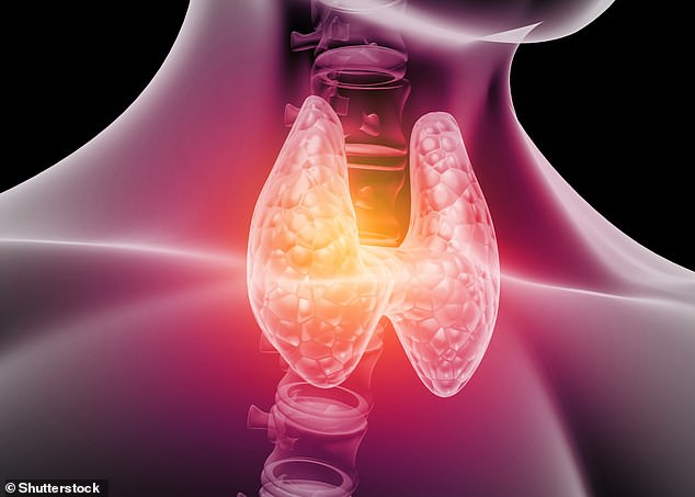 Could YOUR weight gain and crushing fatigue be hidden thyroid disease? Experts reveal the simple diet fixes that can help ease the misery