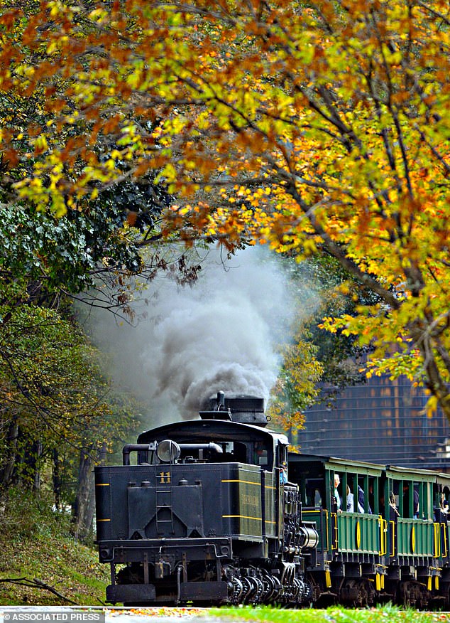 The ‘best’ fall foliage train journey in America offers insane 15-mile trip through red state forest