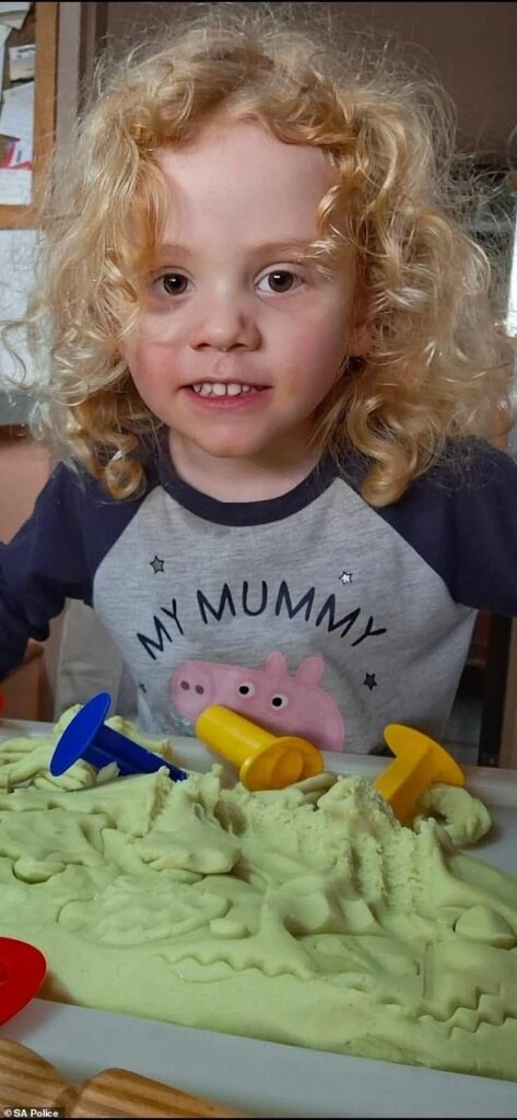 Could there be a miracle ending in search for four-year-old who vanished in Australia’s Outback? Police scale back search for boy but admit he MAY still be alive in a well or mine