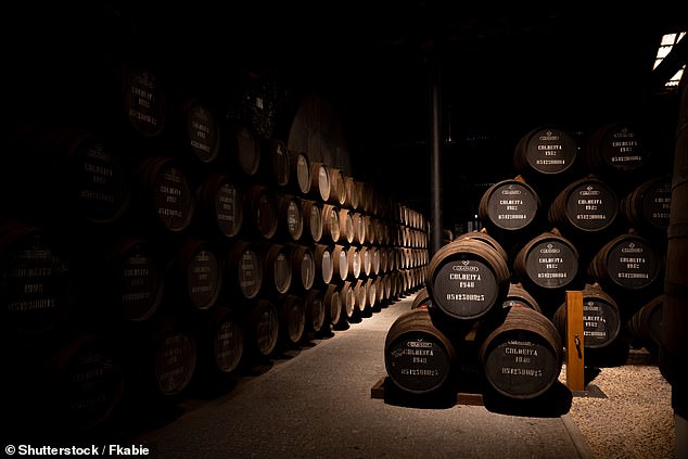 I’m a wine expert who’s visited hundreds of vineyards across the globe. These are the best in Europe – and they may not be where you expect