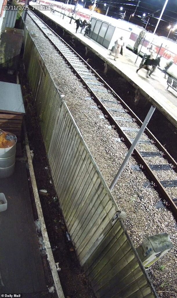 Nightmare on platform two: Terrifying new video shows train knifeman following screaming passengers as they run for lives in Cambridgeshire attack that hurt 10